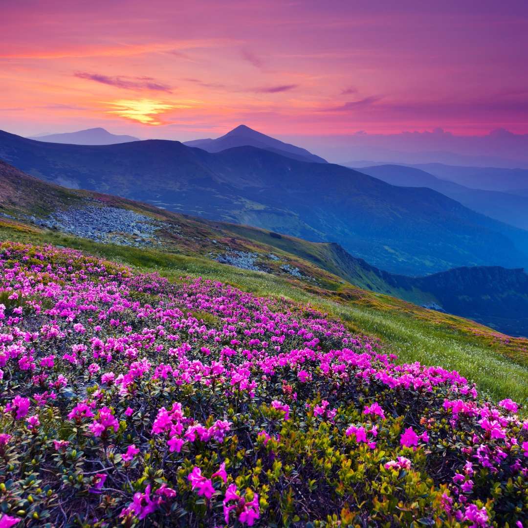 I want to live in a world where Earth Day is everyday - Our origin story