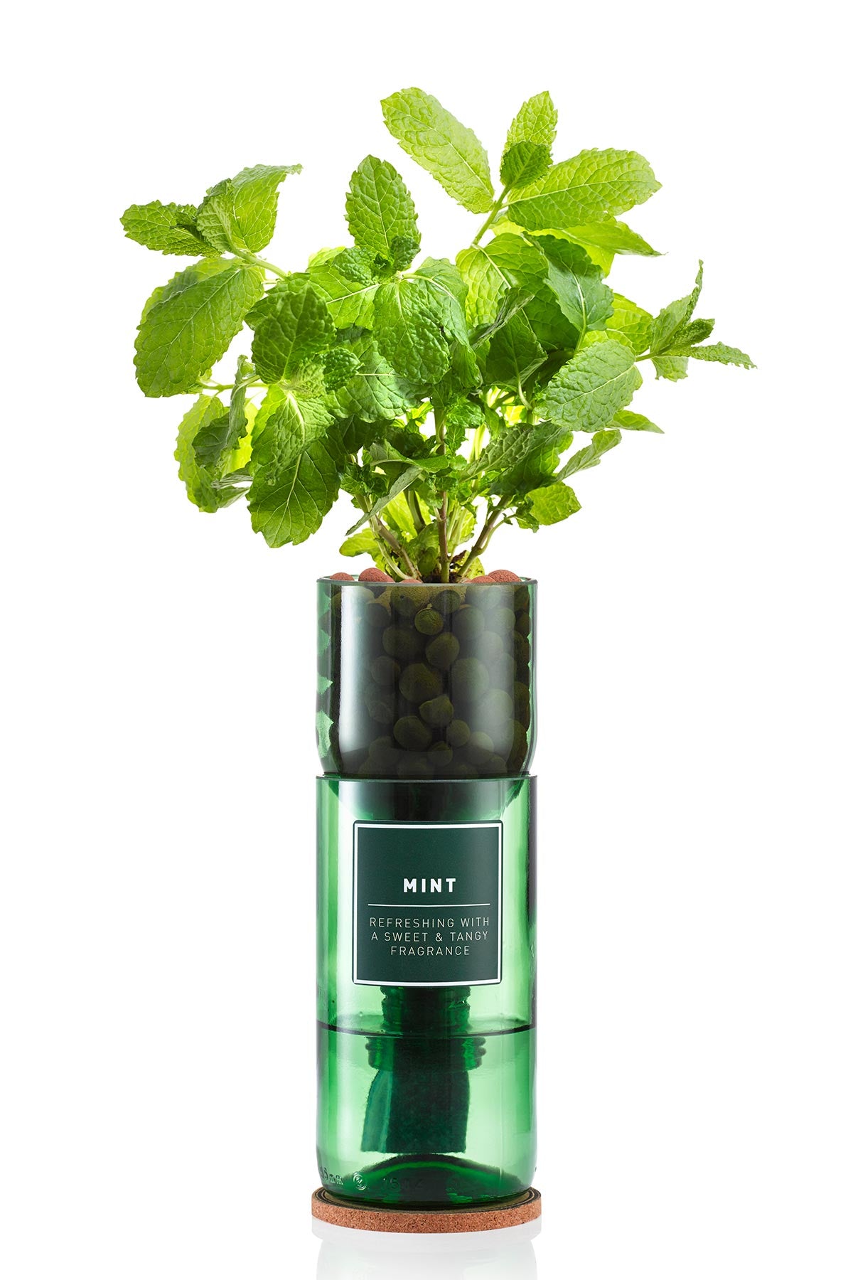 Hydro-Herb Mint Hydro Herb Kit
