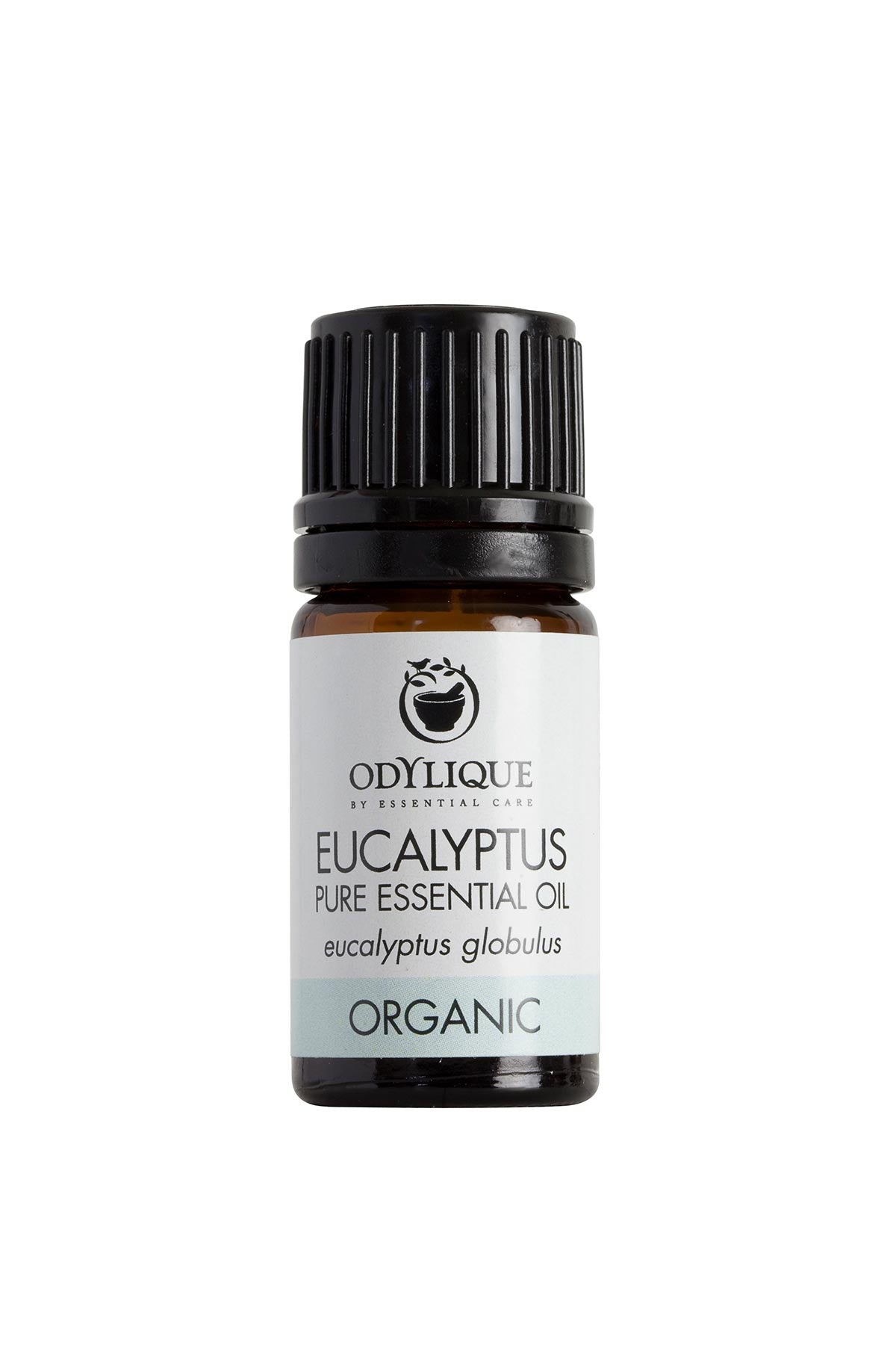 Odylique Organic Eucalyptus Essential Oil