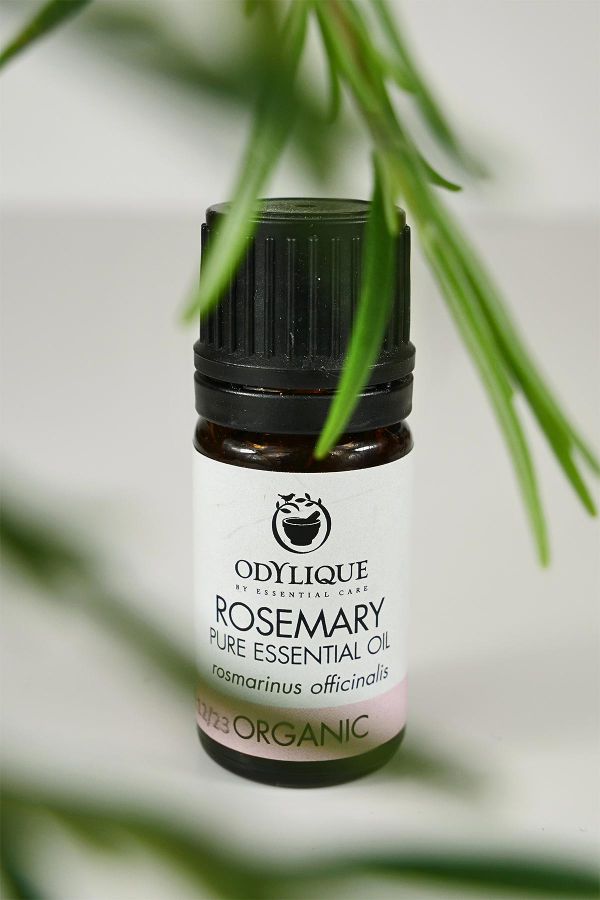Odylique Organic Rosemary Essential Oil