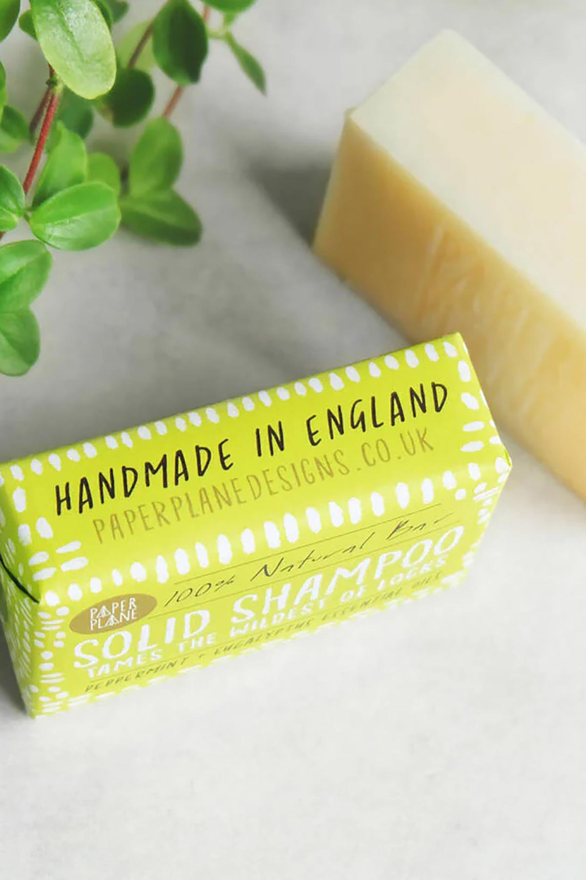 Paper Plane Peppermint And Eucalyptus 100% Natural Vegan Plastic-Free Solid Shampoo