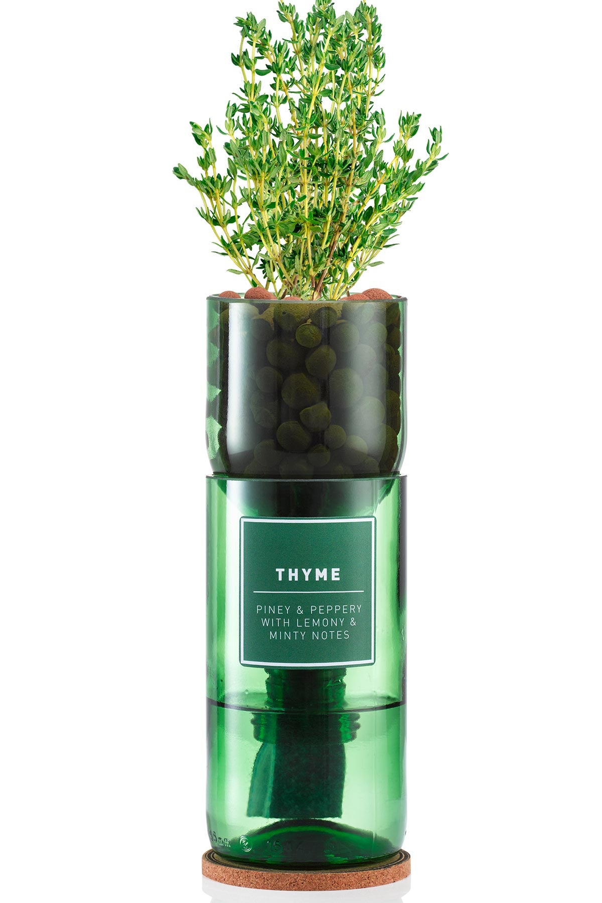 Hydro-Herb Thyme Hydro Herb Kit