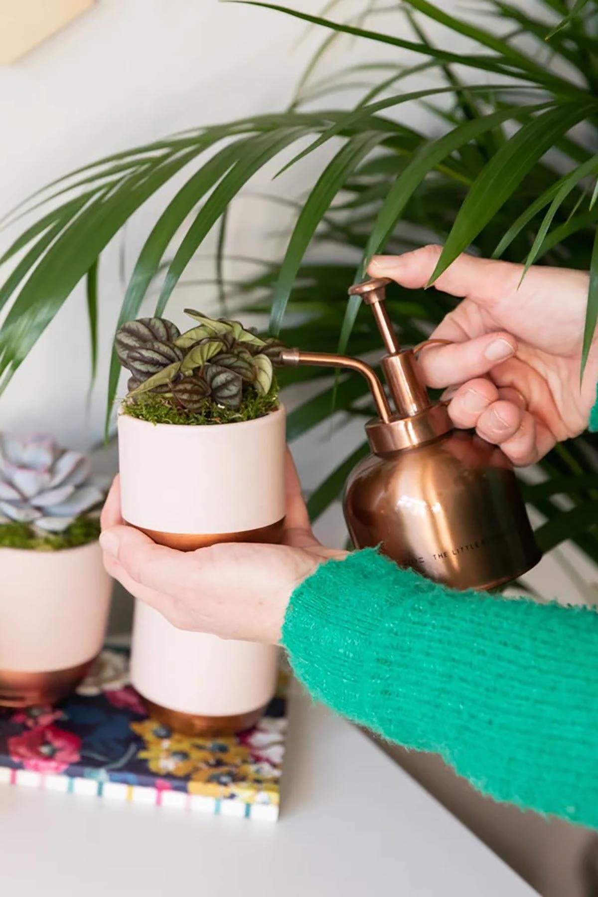 The Little Botanical Zab Plant Mister