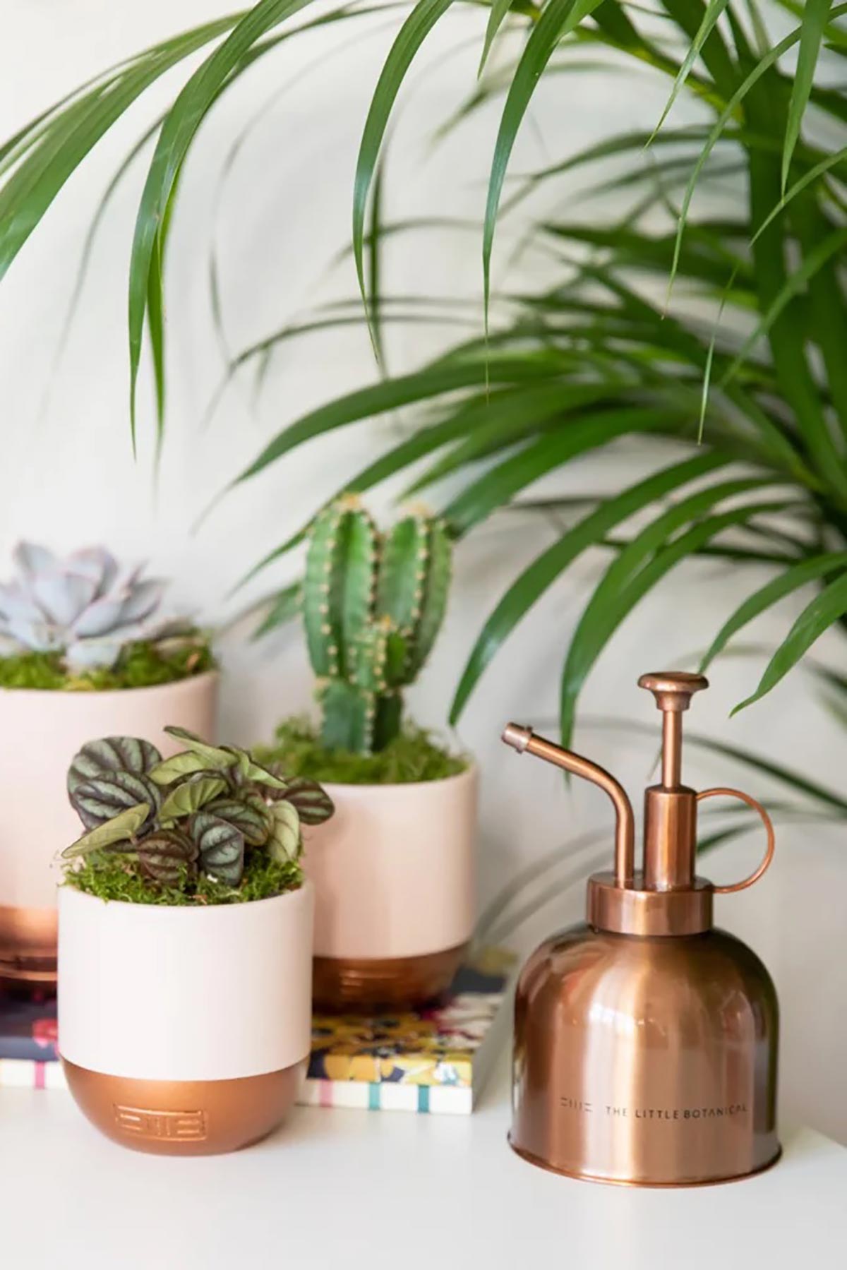 The Little Botanical Zab Plant Mister