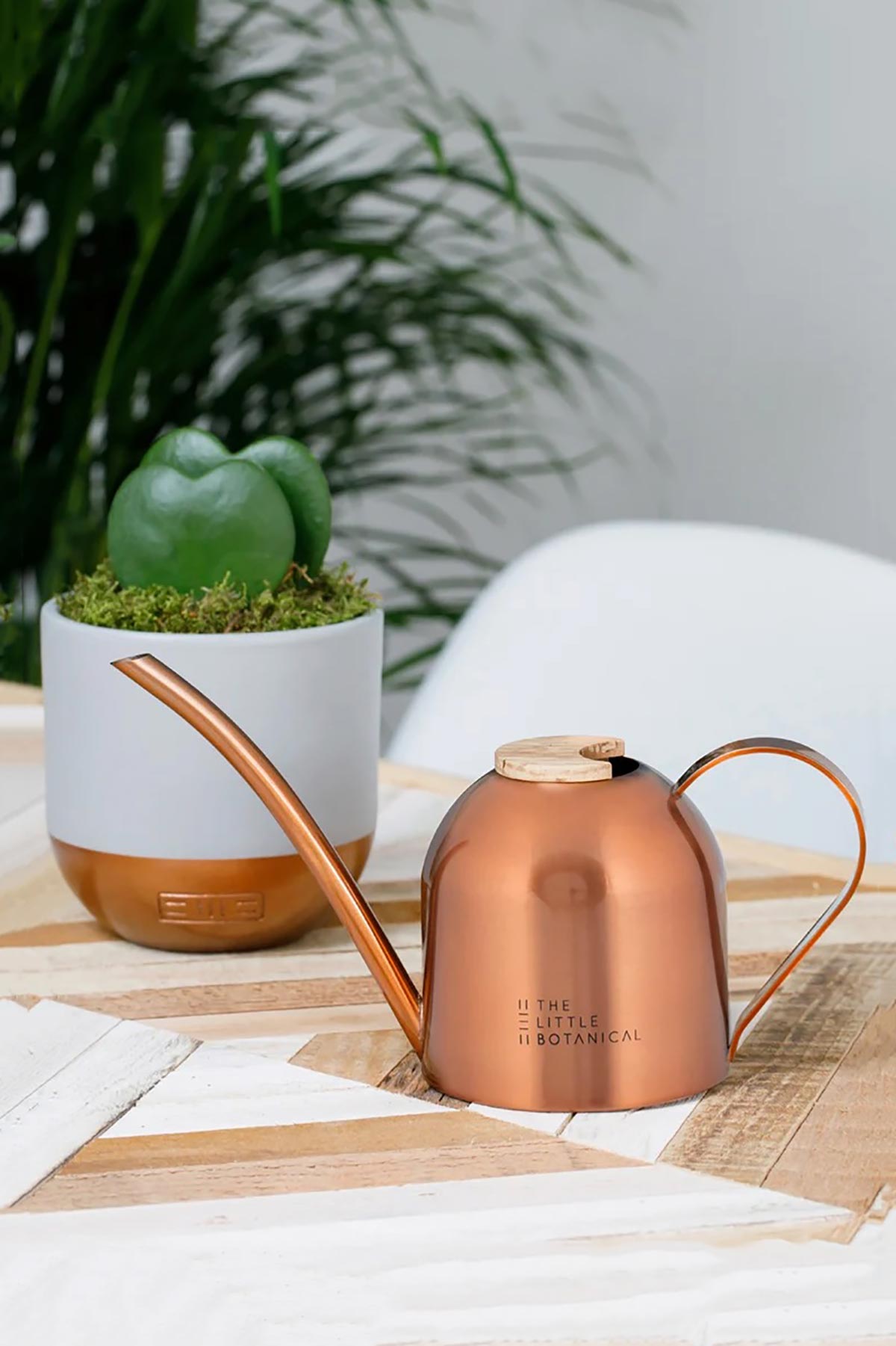 The Little Botanical Copper Watering Can