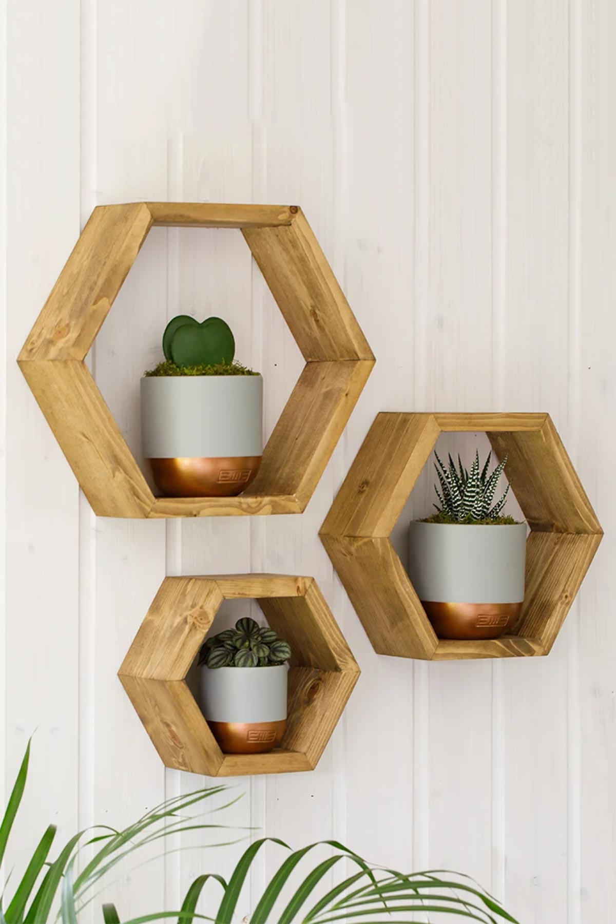 The Little Botanical Hoya Kerrii Double Heart In Grey and Copper Pot