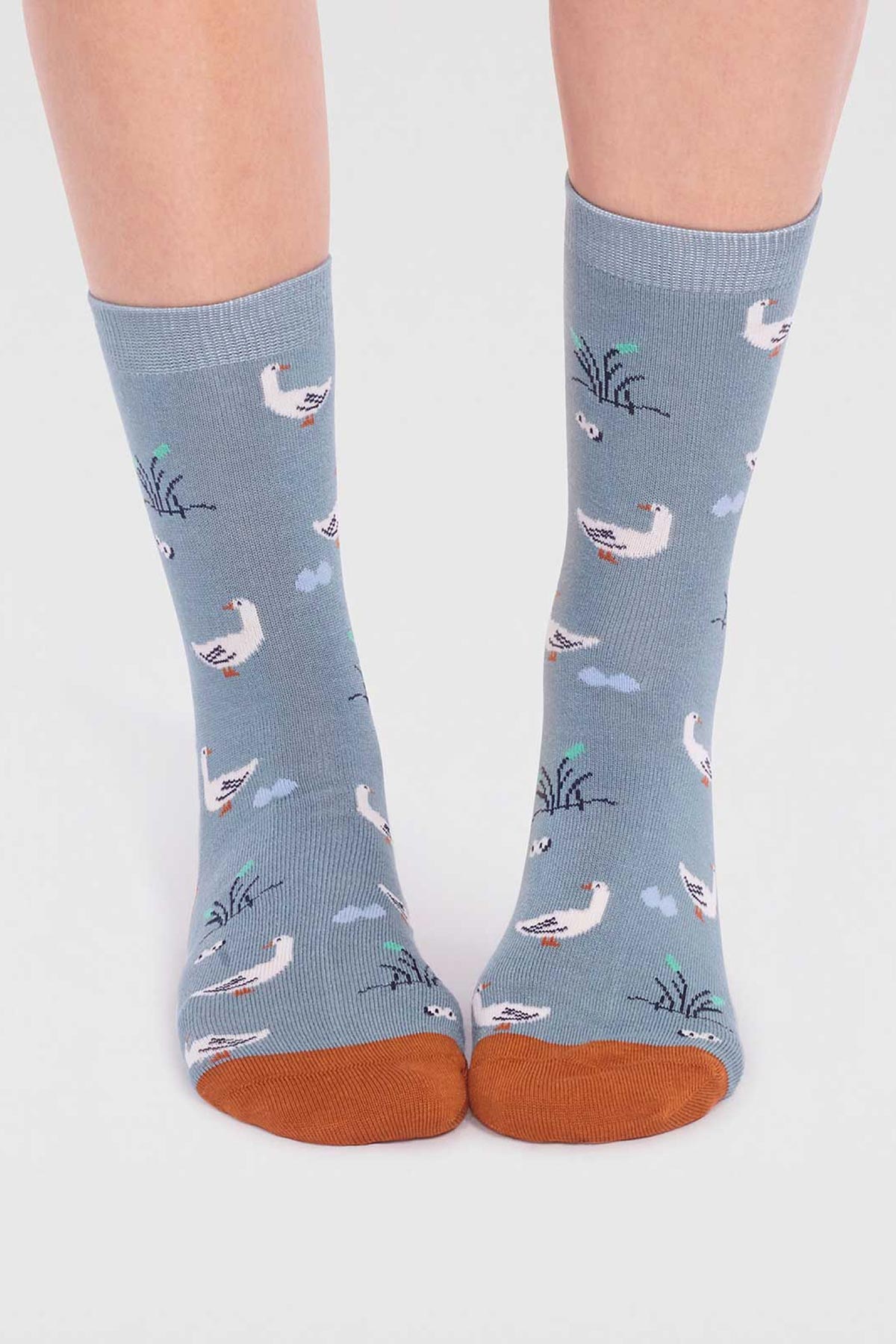 Thought Daniela Bamboo Duck 4 Sock Gift Box In Multi