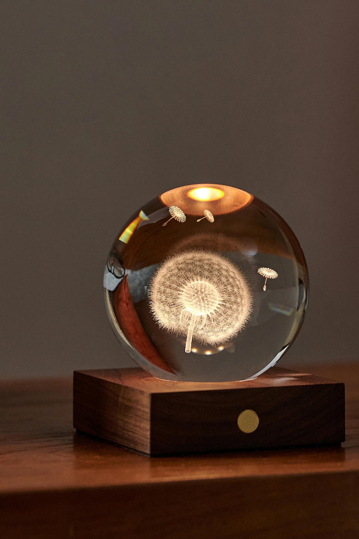 Gingko Design Amber Crystal Light Dandelion