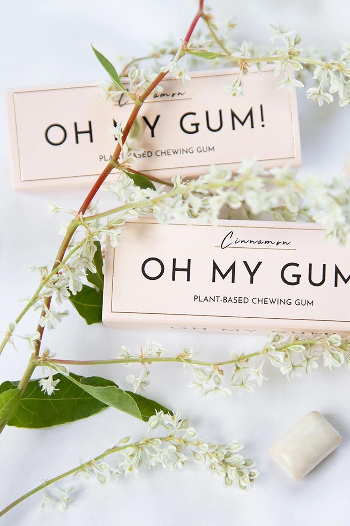 Oh My Gum! Cinnamon Chewing Gum