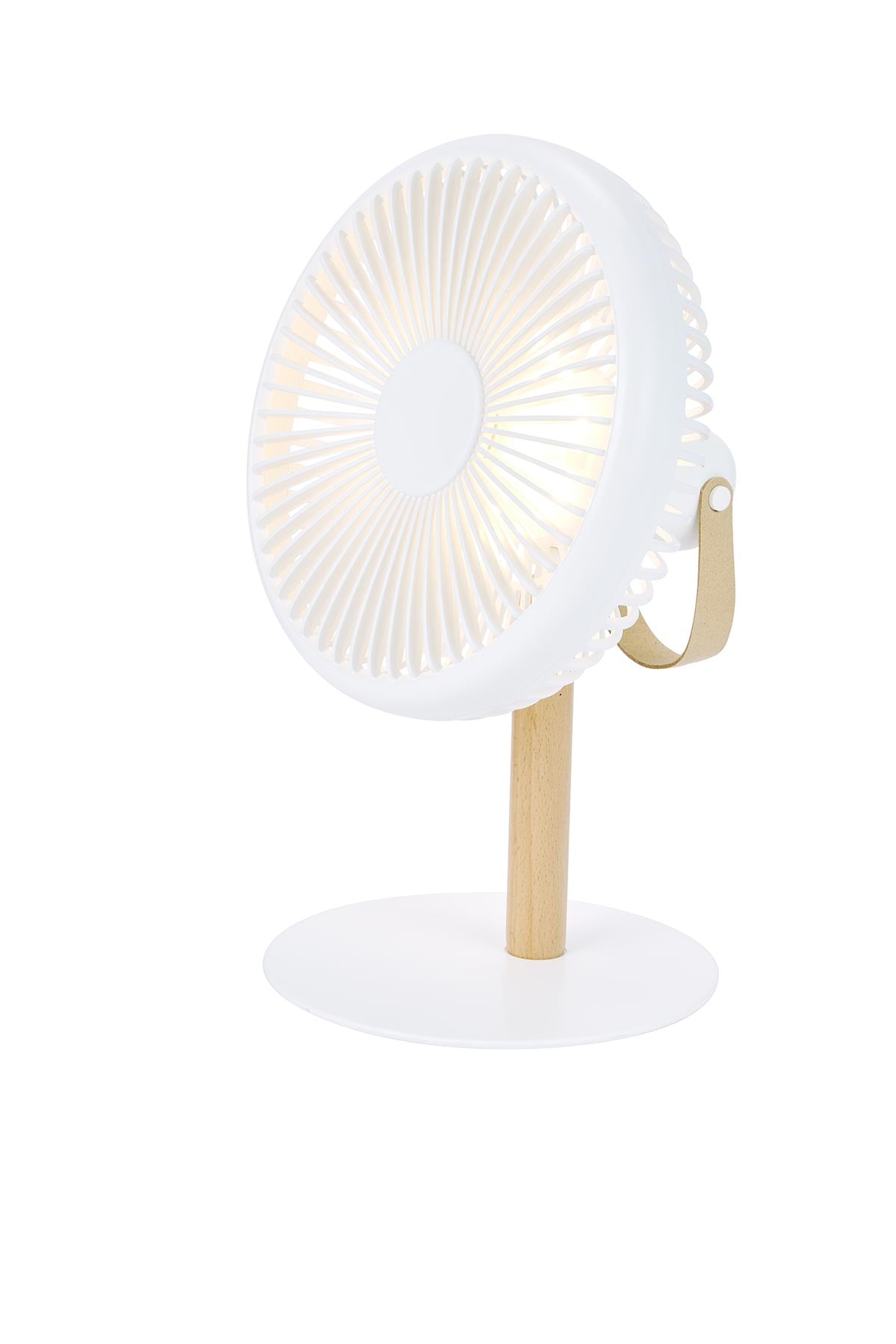 Gingko Design Beyond Portable & Detachable Desk Fan + Light In White ...