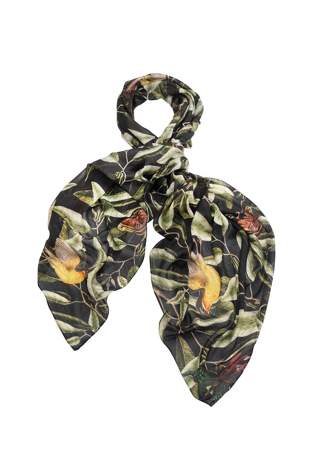 One Hundred Stars KEW Evergreen Black Scarf