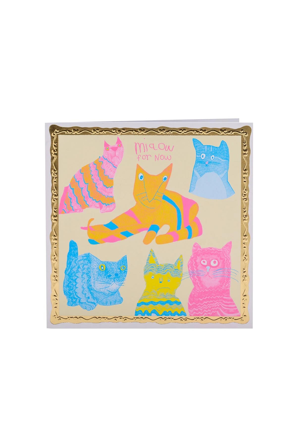 Arthouse Unlimited Miaow For Now Greetings Card