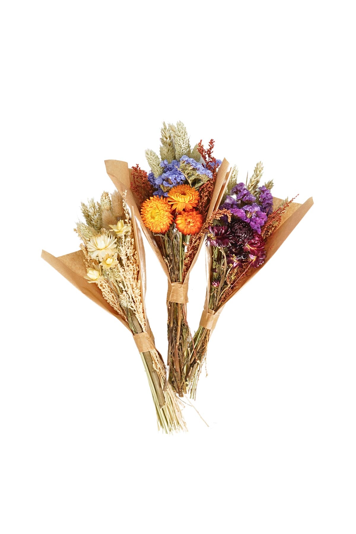 Wildflowers By Floriette Mini Dried Flowers Mix Bouquet