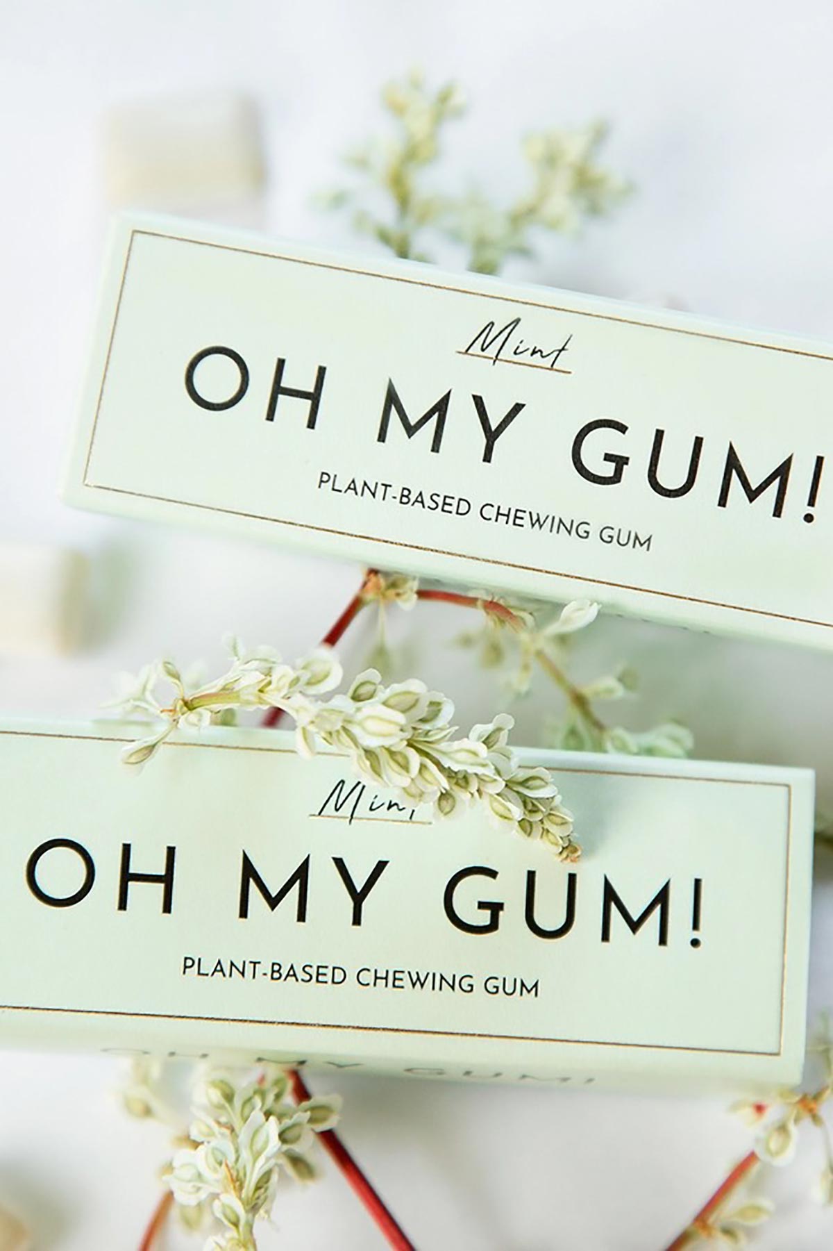 Oh My Gum! Mint Chewing Gum