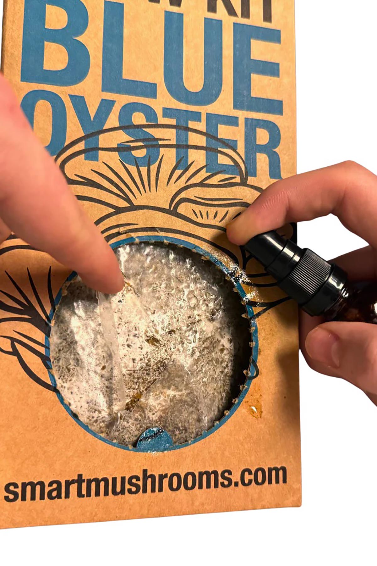 Smart Mushrooms Mushroom Grow Kit