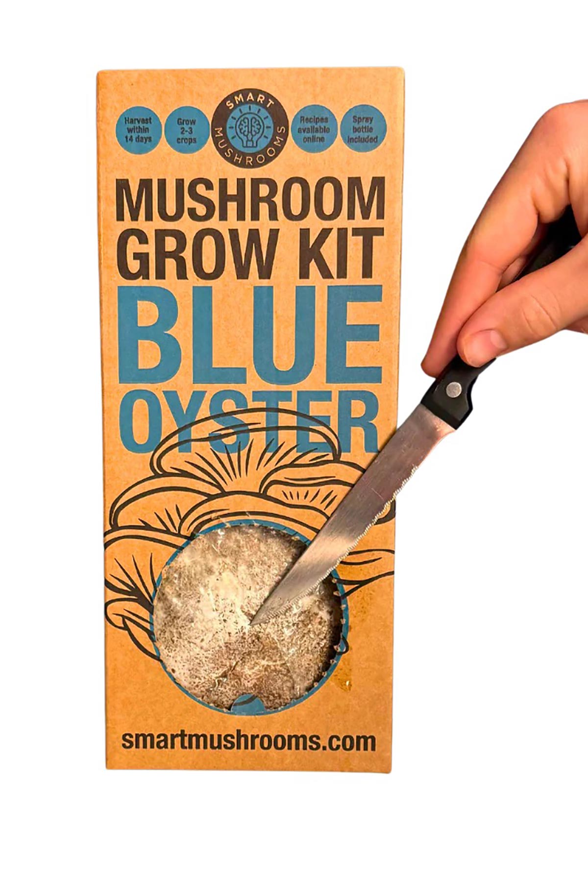 Smart Mushrooms Mushroom Grow Kit