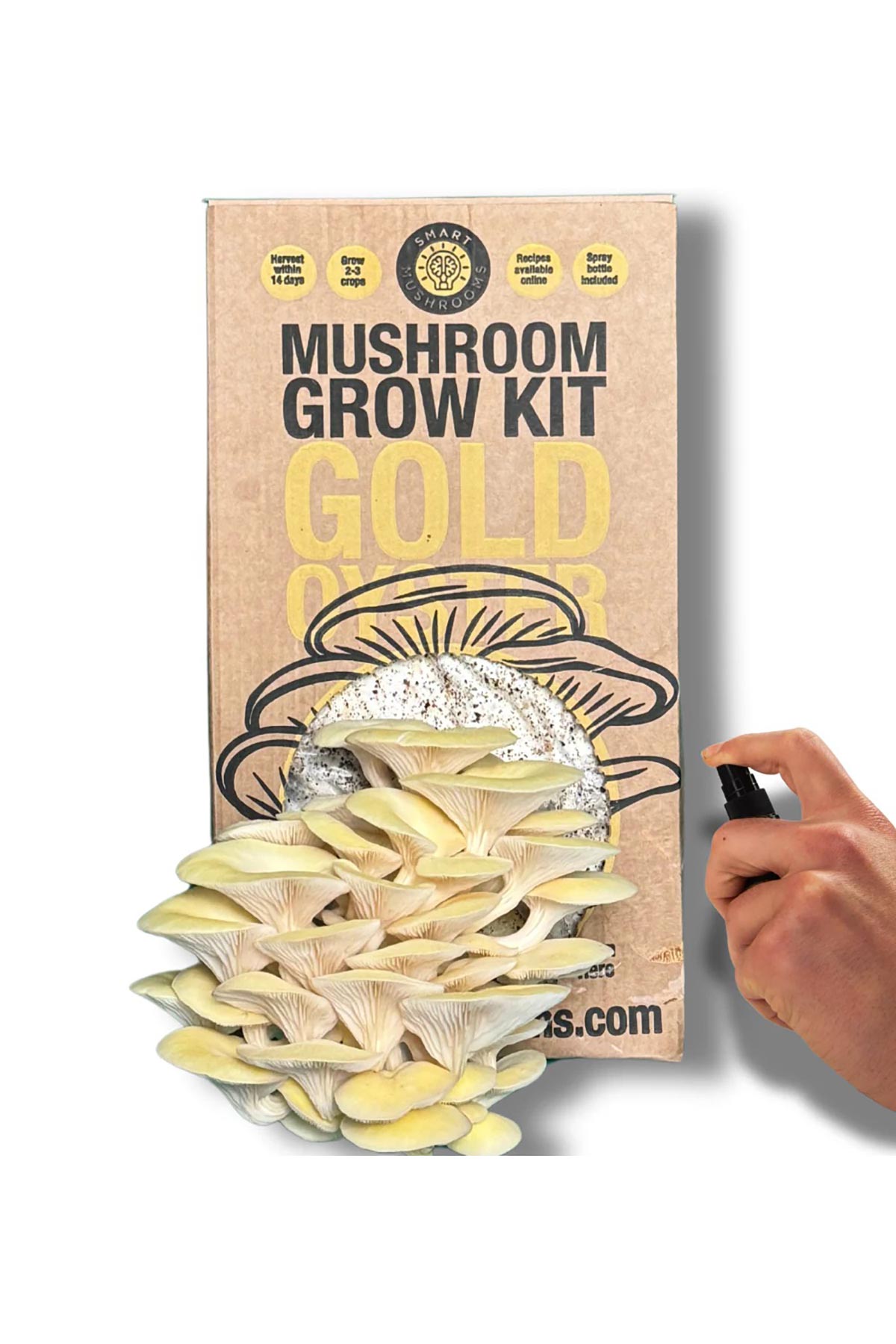 Smart Mushrooms Mushroom Grow Kit