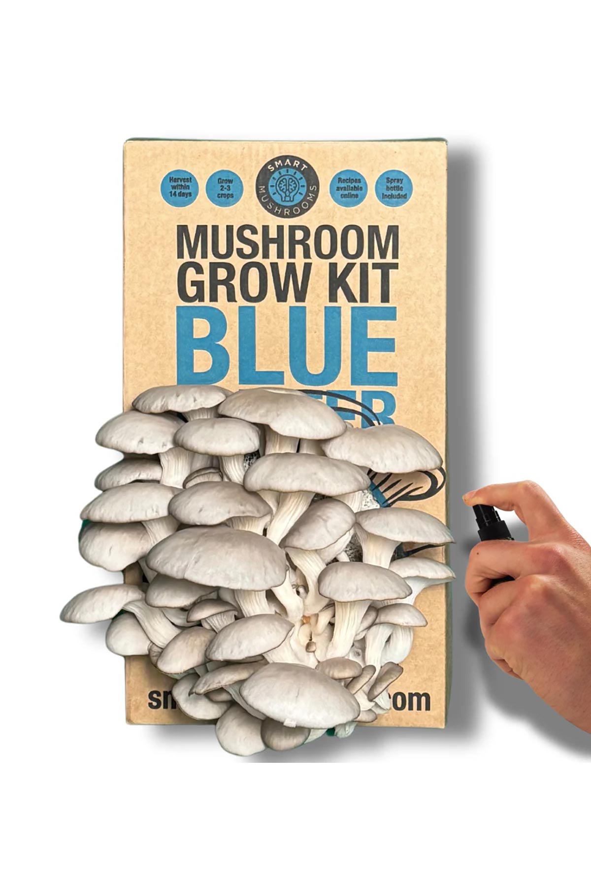 Smart Mushrooms Mushroom Grow Kit