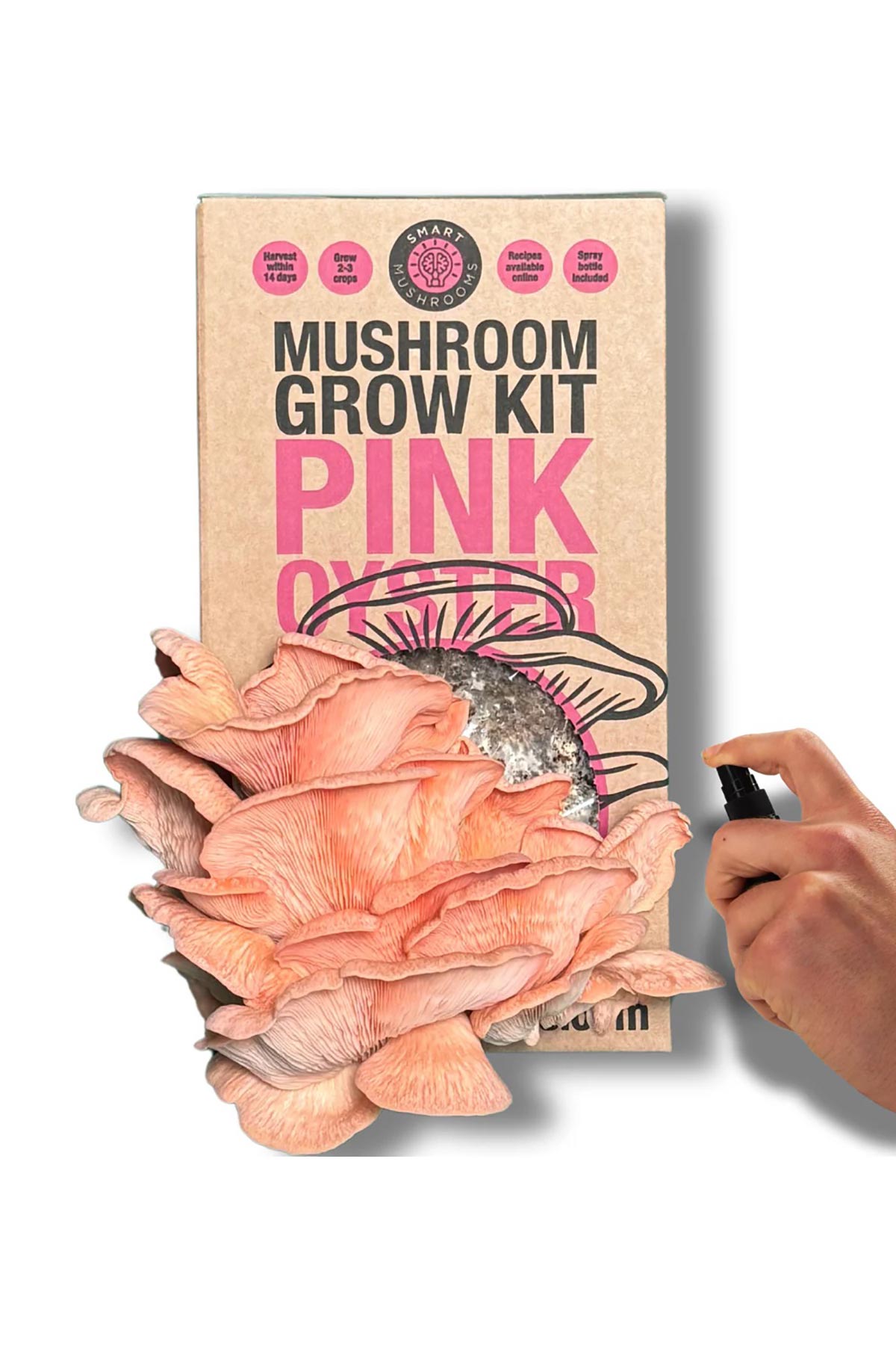 Smart Mushrooms Mushroom Grow Kit