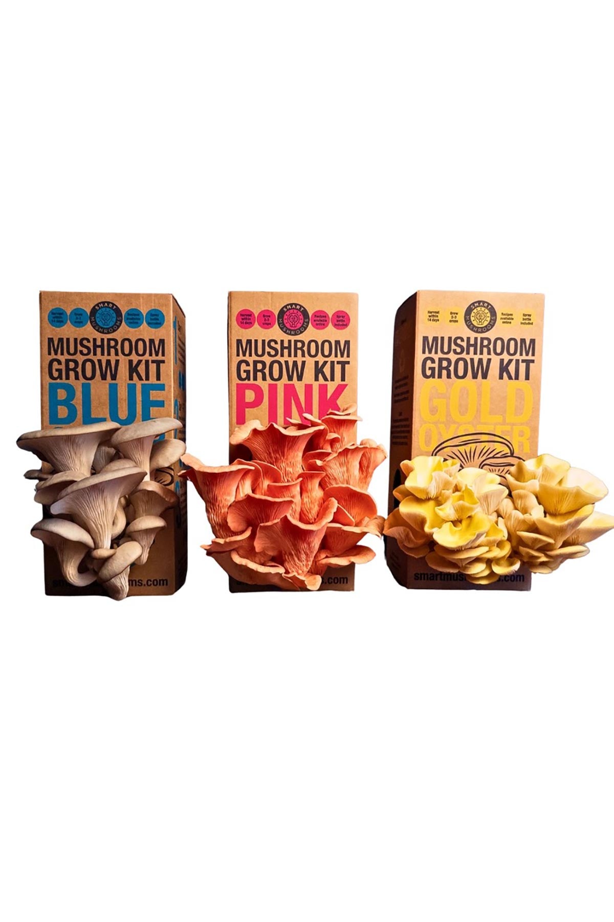 Smart Mushrooms Mushroom Grow Kit