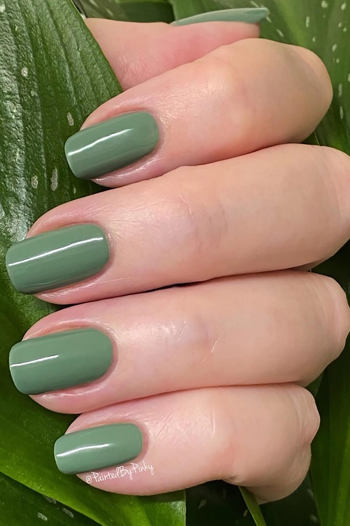 Earthy Nail Polish Nailtura Green