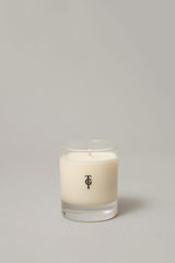 True Grace Wild Mint Small Candle