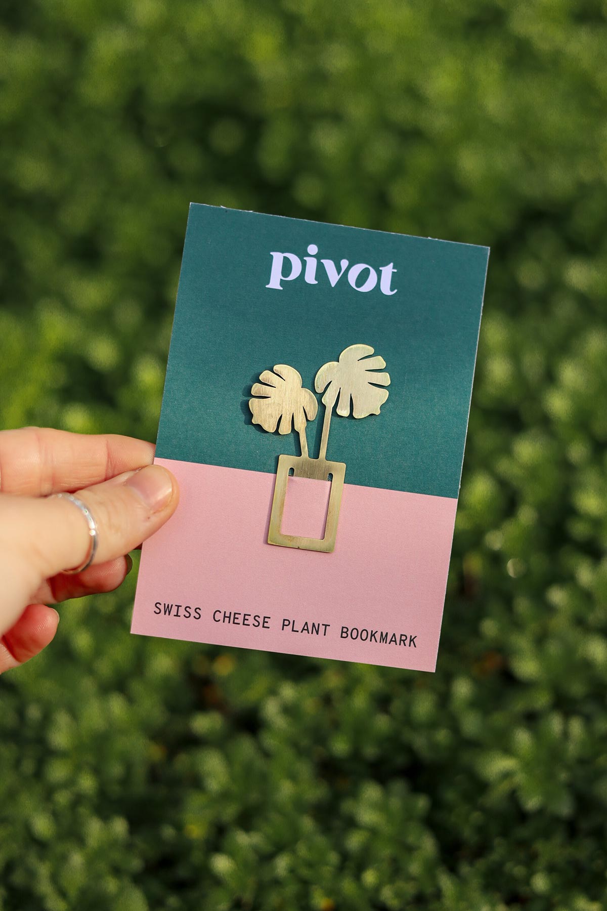 Pivot Swiss Cheese Plant Bookmark