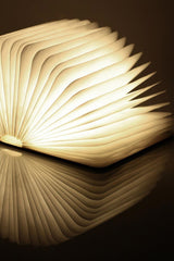 Smart Book Light (Natural Wood Walnut) - Gingko