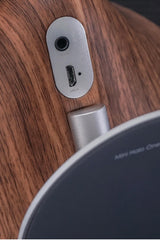 Mini Halo One Bluetooth Speaker - Gingko