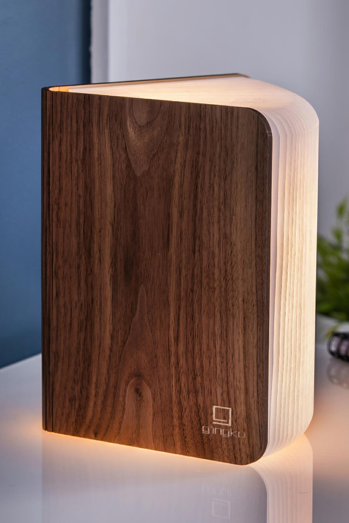 Smart Book Light (Natural Wood Walnut) - Gingko