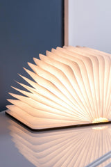 Smart Book Light (Natural Wood Walnut) - Gingko