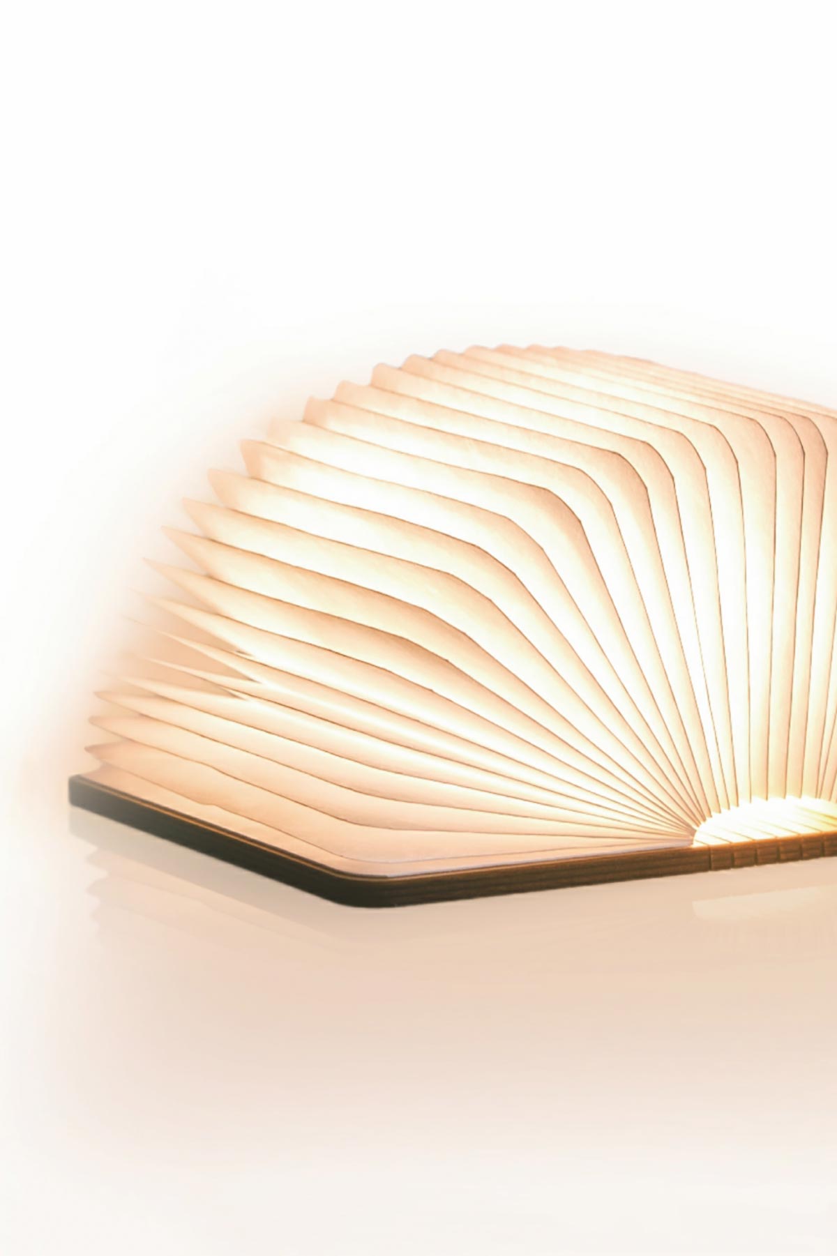 Smart Book Light (Natural Wood Walnut) - Gingko